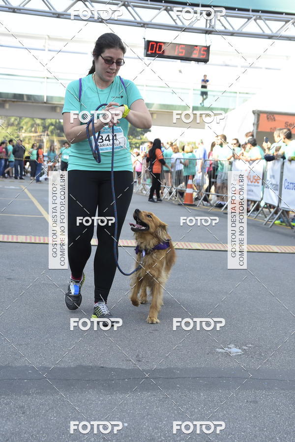 Buy your photos of the event2� Pet Run Shopping Eldorado  on Fotop