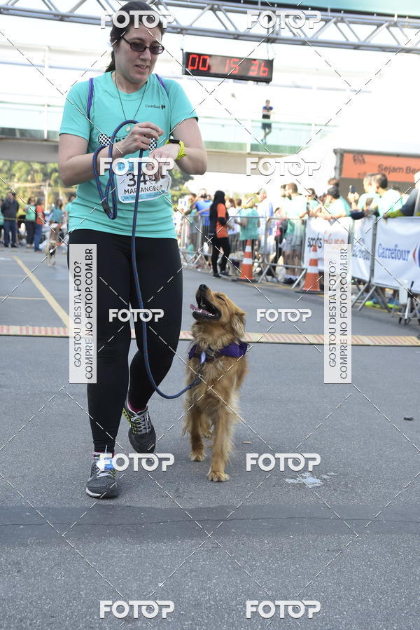 Buy your photos of the event2� Pet Run Shopping Eldorado  on Fotop