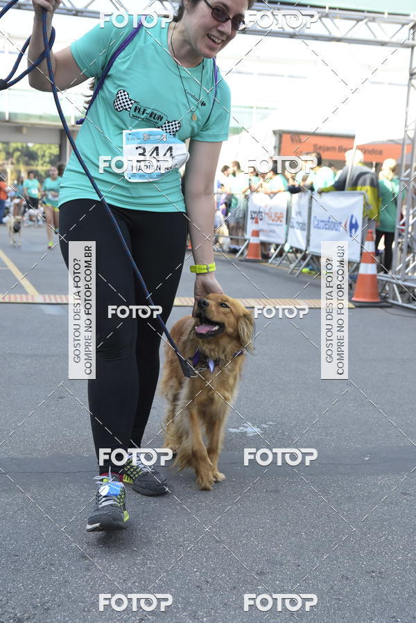 Buy your photos of the event2� Pet Run Shopping Eldorado  on Fotop