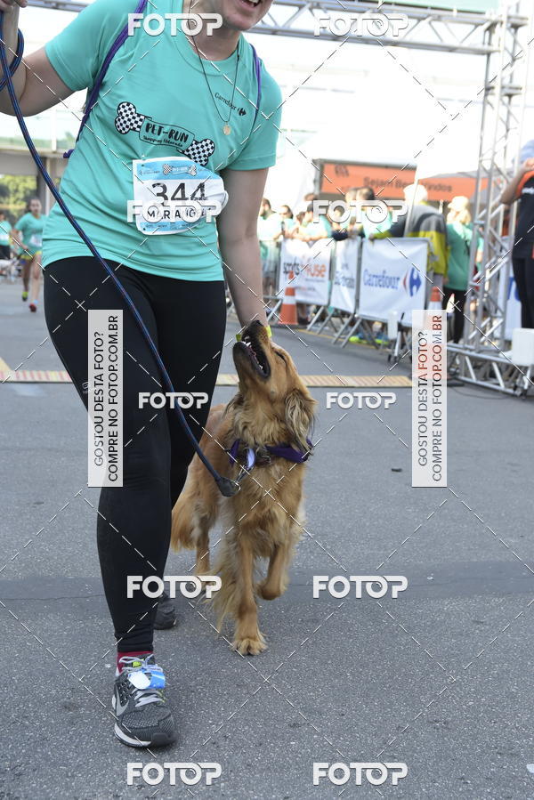 Buy your photos of the event2� Pet Run Shopping Eldorado  on Fotop