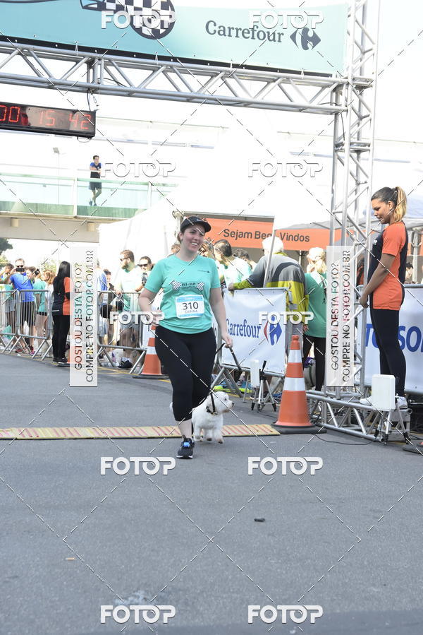 Buy your photos of the event2� Pet Run Shopping Eldorado  on Fotop