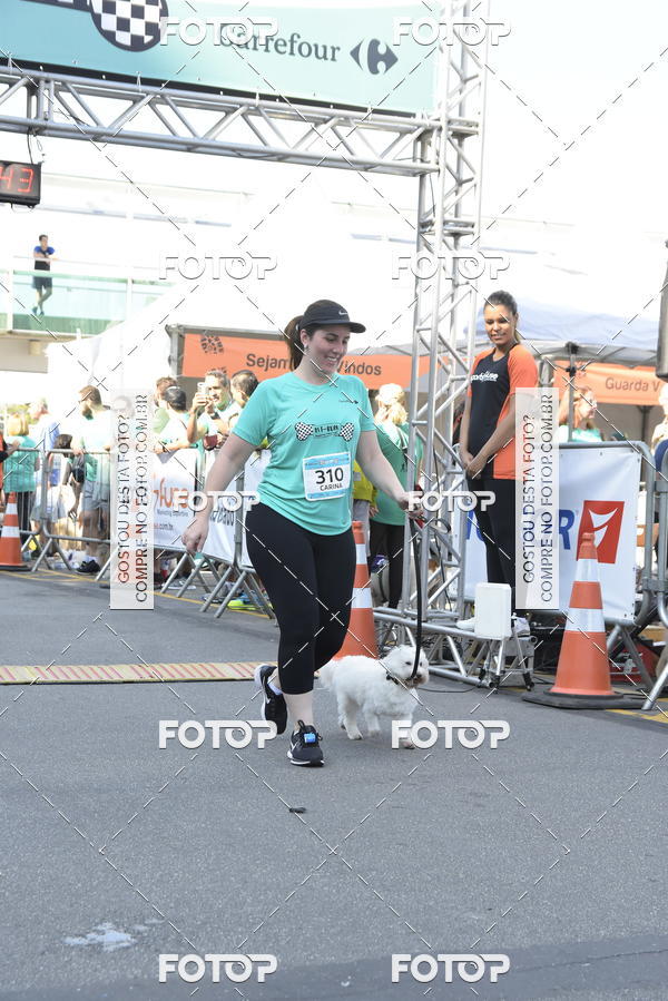 Buy your photos of the event2� Pet Run Shopping Eldorado  on Fotop