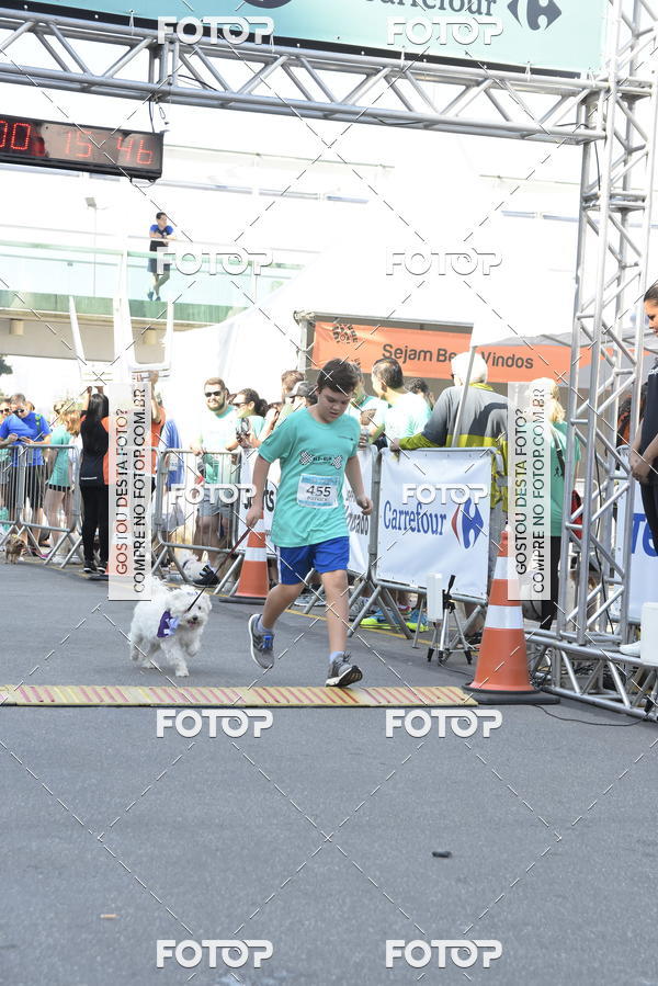 Buy your photos of the event2� Pet Run Shopping Eldorado  on Fotop