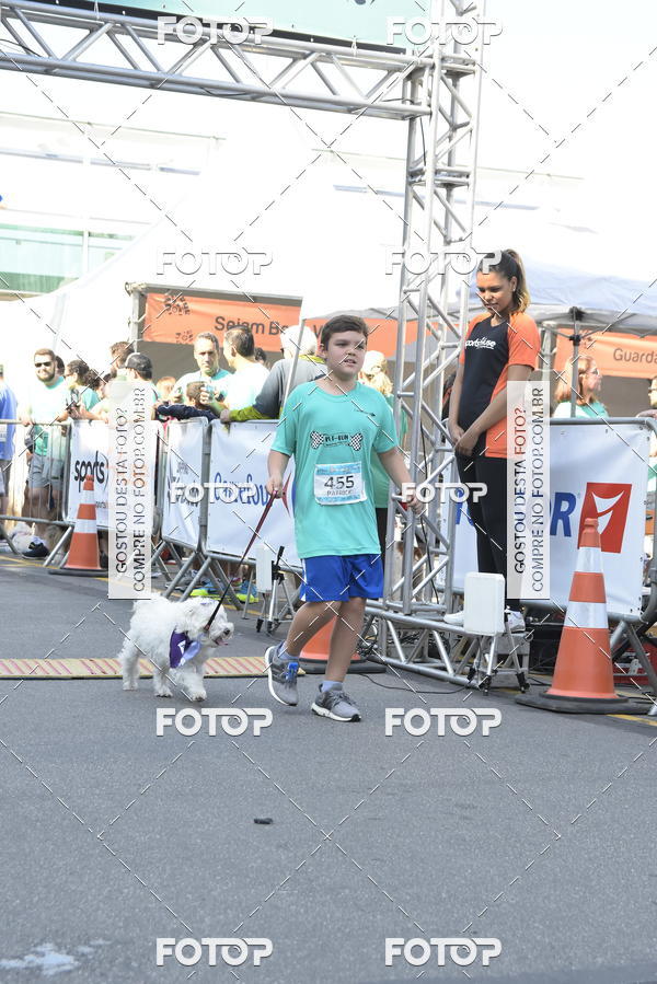 Buy your photos of the event2� Pet Run Shopping Eldorado  on Fotop