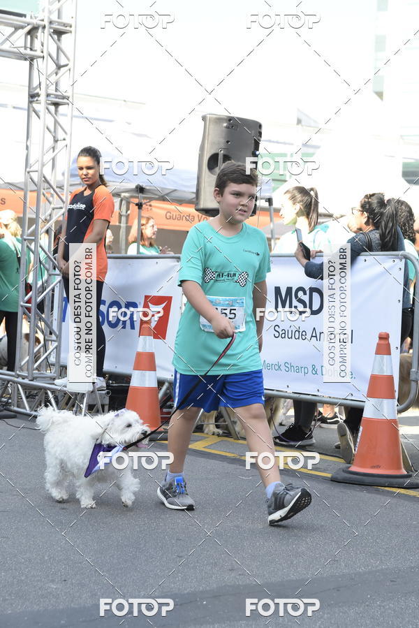 Buy your photos of the event2� Pet Run Shopping Eldorado  on Fotop