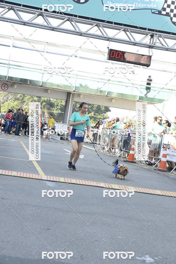 Buy your photos of the event2� Pet Run Shopping Eldorado  on Fotop