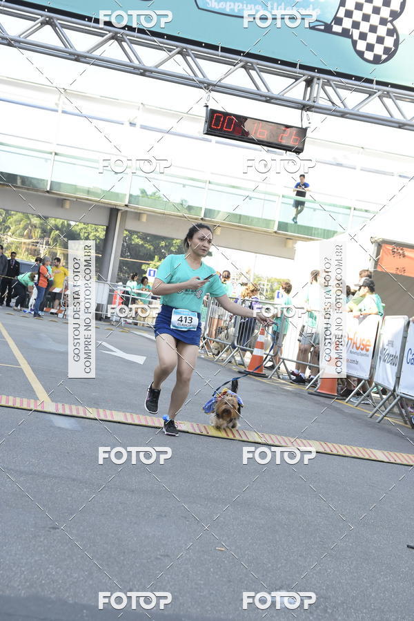 Buy your photos of the event2� Pet Run Shopping Eldorado  on Fotop