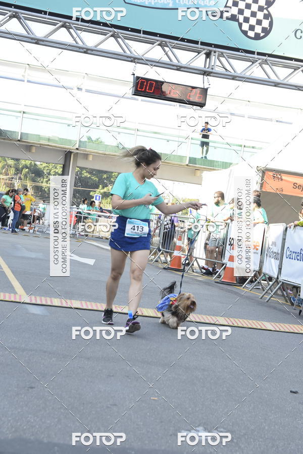 Buy your photos of the event2� Pet Run Shopping Eldorado  on Fotop