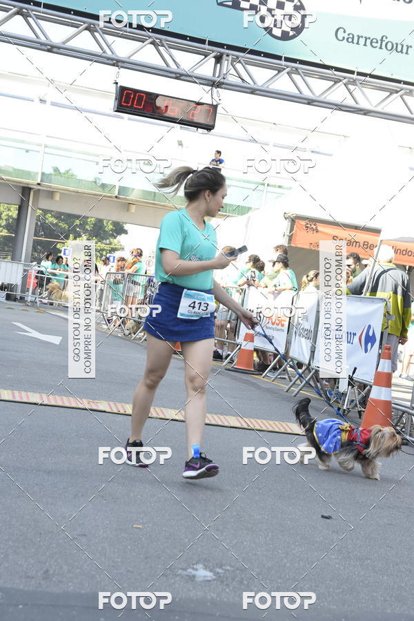 Buy your photos of the event2� Pet Run Shopping Eldorado  on Fotop