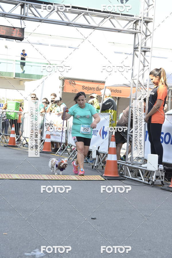 Buy your photos of the event2� Pet Run Shopping Eldorado  on Fotop