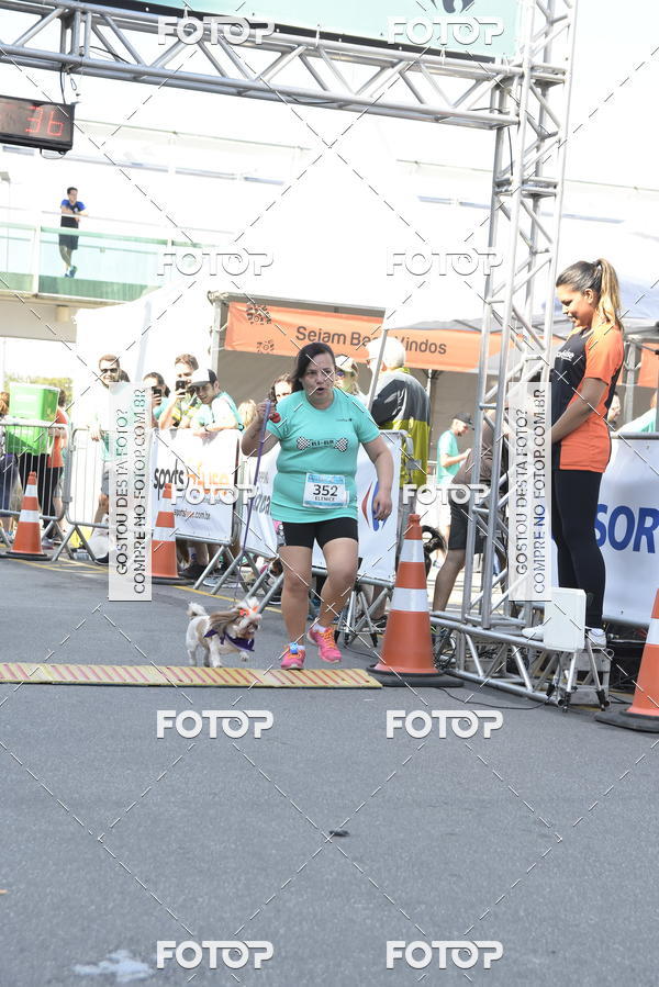 Buy your photos of the event2� Pet Run Shopping Eldorado  on Fotop