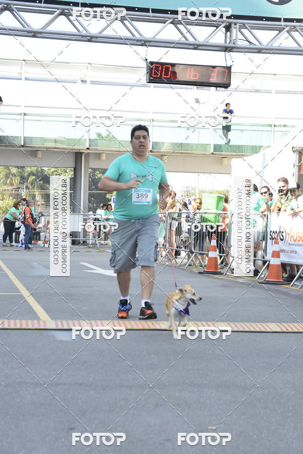 Buy your photos of the event2� Pet Run Shopping Eldorado  on Fotop