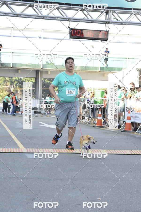 Buy your photos of the event2� Pet Run Shopping Eldorado  on Fotop