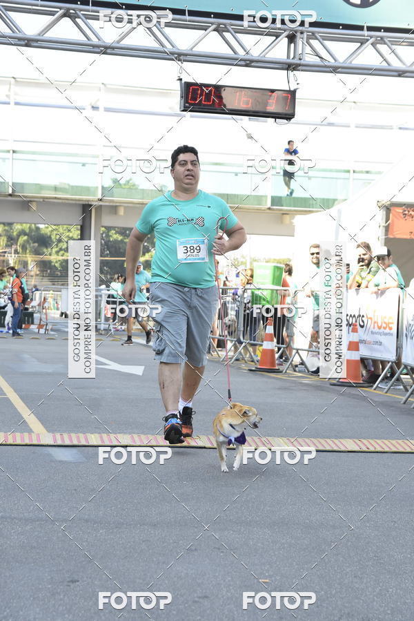 Buy your photos of the event2� Pet Run Shopping Eldorado  on Fotop