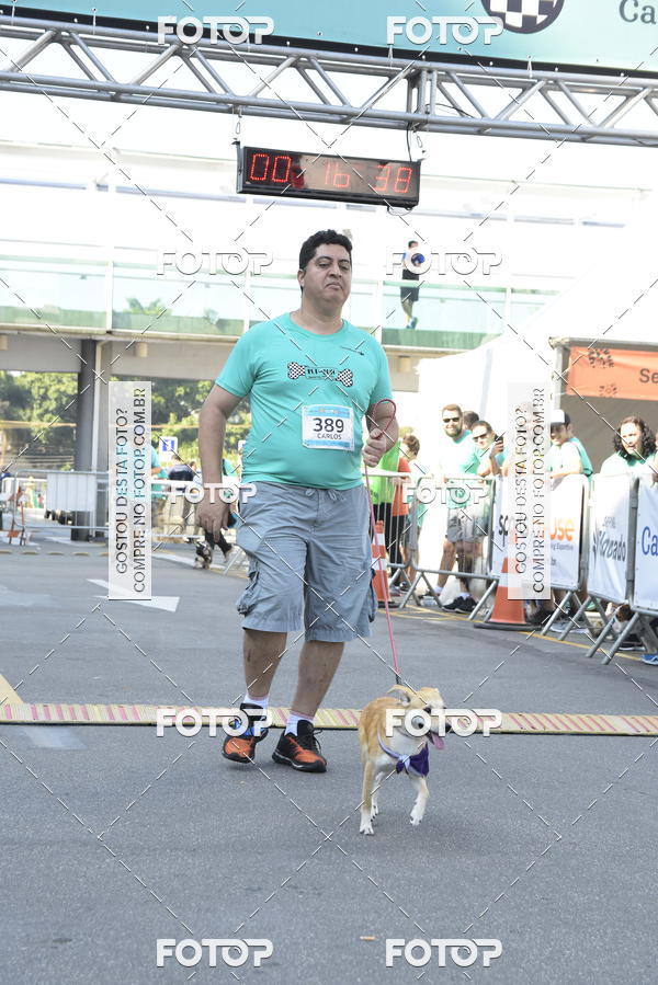 Buy your photos of the event2� Pet Run Shopping Eldorado  on Fotop