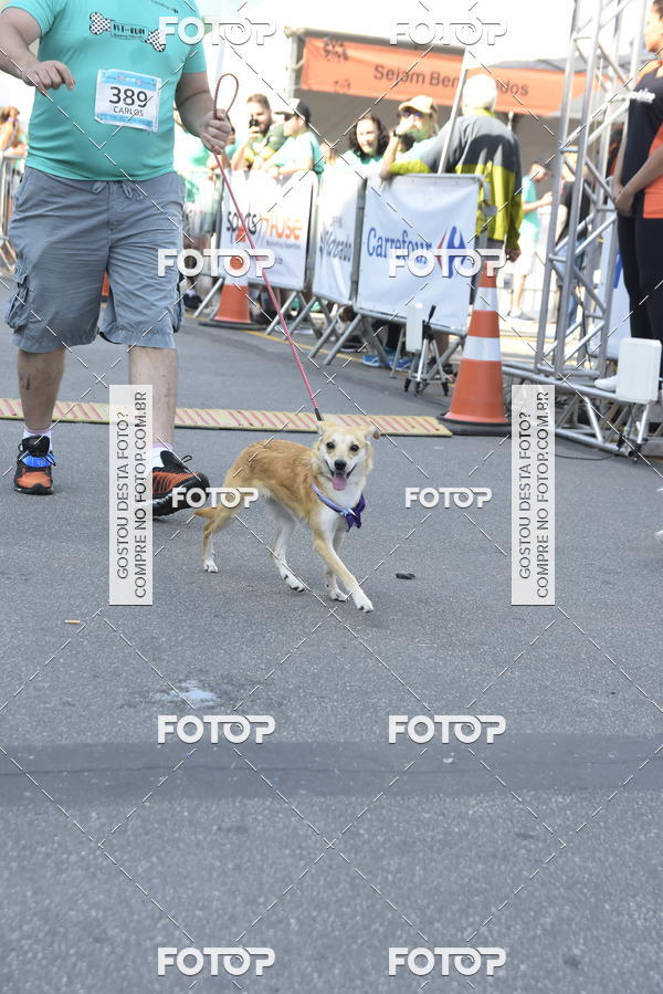 Buy your photos of the event2� Pet Run Shopping Eldorado  on Fotop