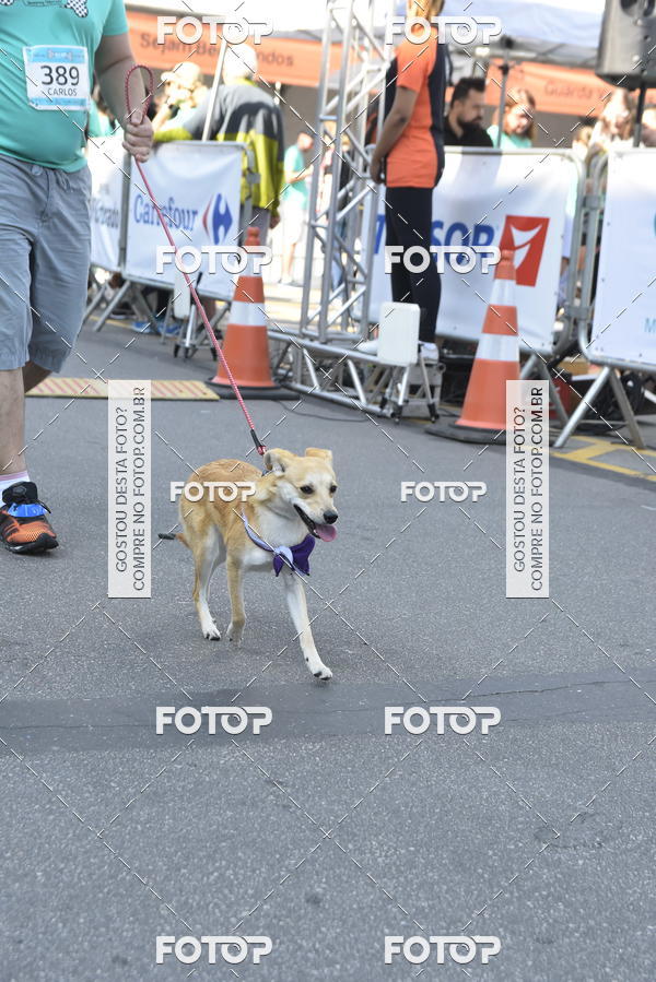 Buy your photos of the event2� Pet Run Shopping Eldorado  on Fotop