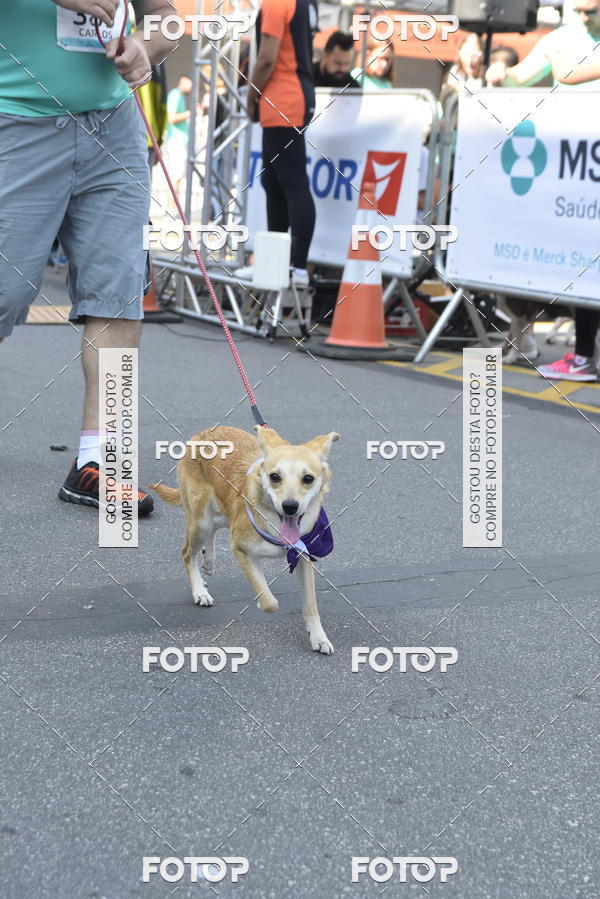Buy your photos of the event2� Pet Run Shopping Eldorado  on Fotop