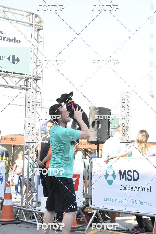 Buy your photos of the event2� Pet Run Shopping Eldorado  on Fotop