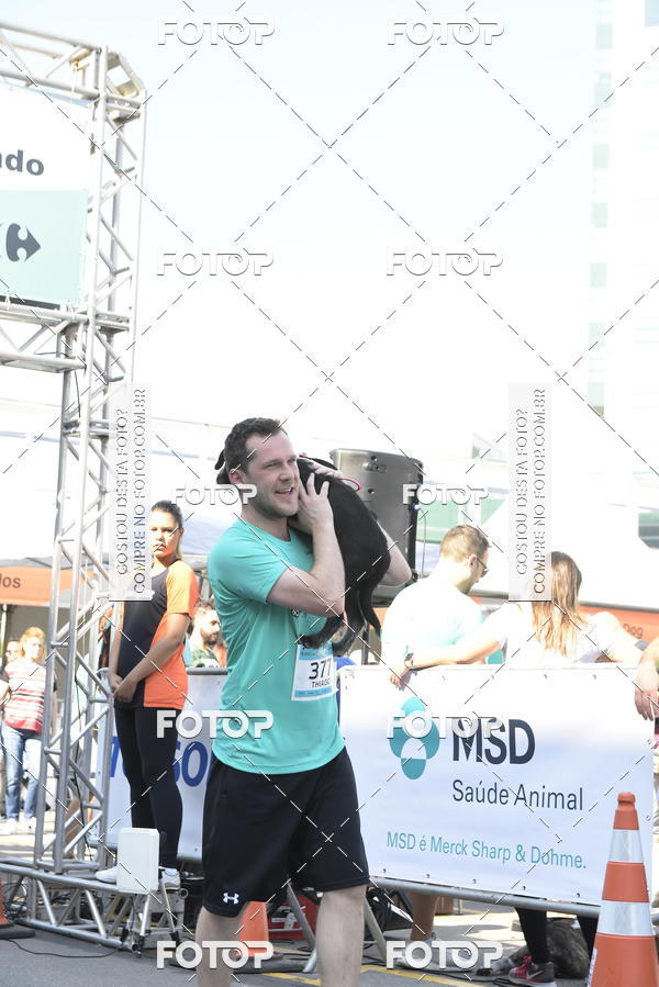 Buy your photos of the event2� Pet Run Shopping Eldorado  on Fotop