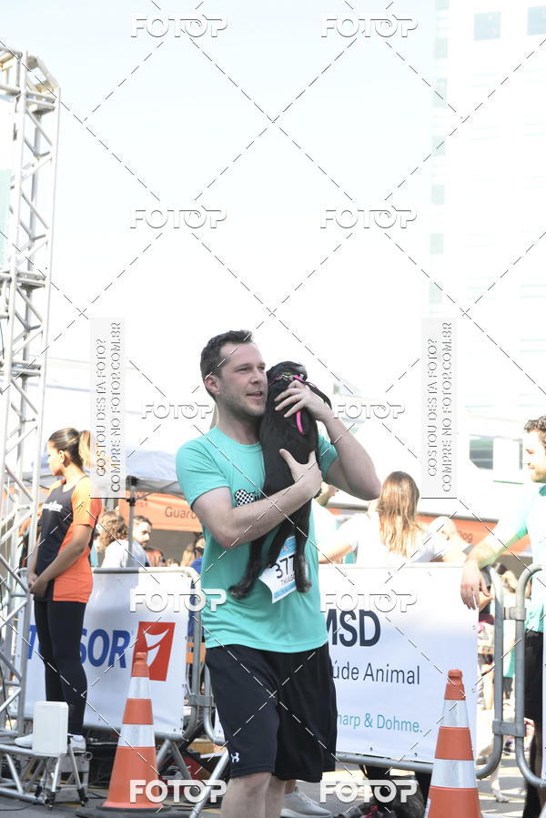 Buy your photos of the event2� Pet Run Shopping Eldorado  on Fotop