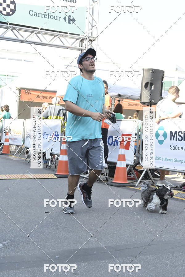Buy your photos of the event2� Pet Run Shopping Eldorado  on Fotop