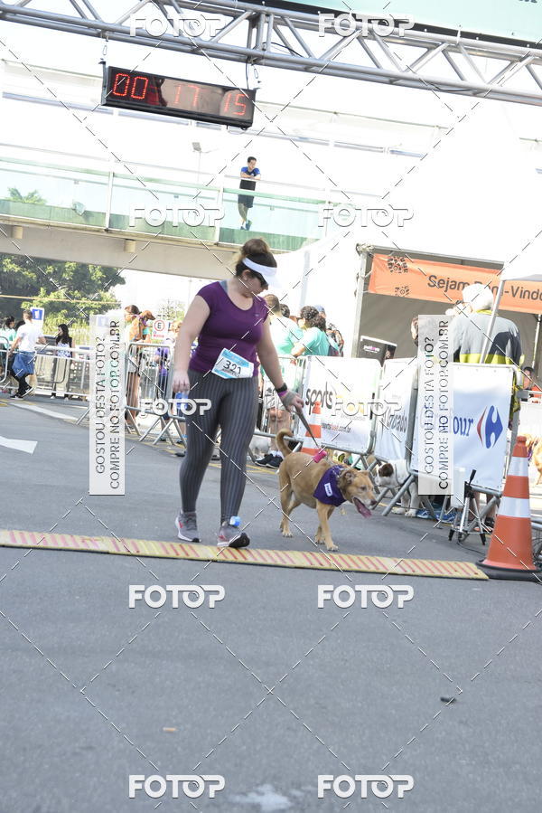 Buy your photos of the event2� Pet Run Shopping Eldorado  on Fotop