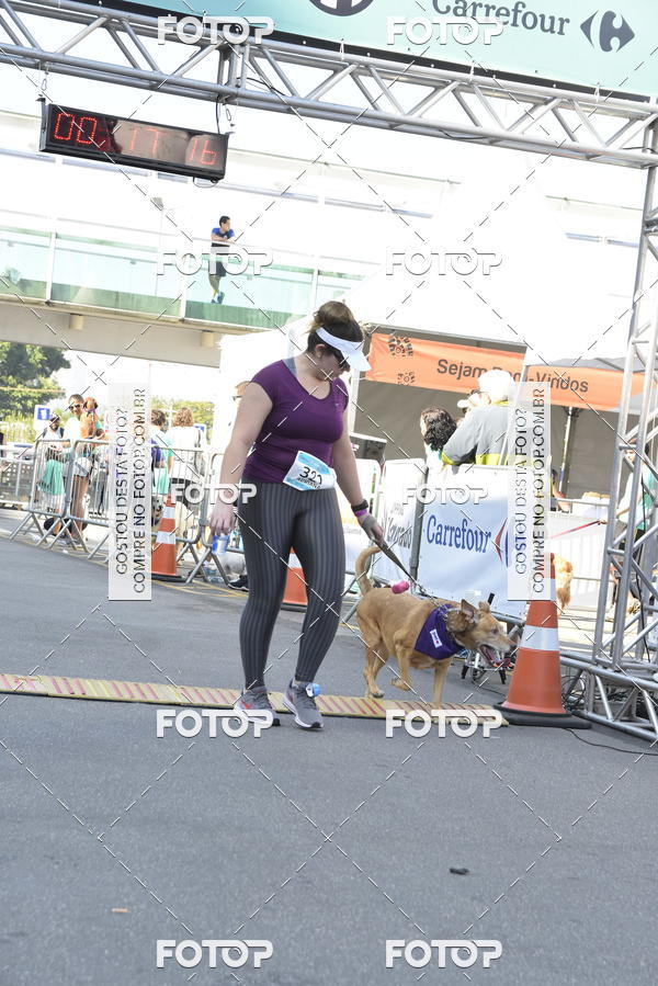 Buy your photos of the event2� Pet Run Shopping Eldorado  on Fotop