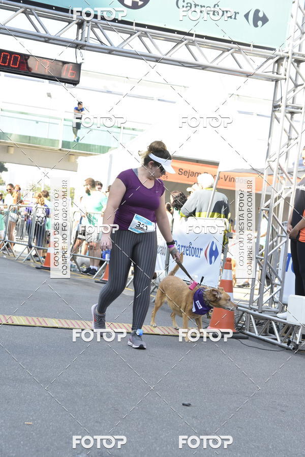 Buy your photos of the event2� Pet Run Shopping Eldorado  on Fotop