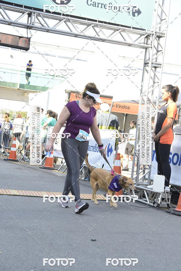 Buy your photos of the event2� Pet Run Shopping Eldorado  on Fotop