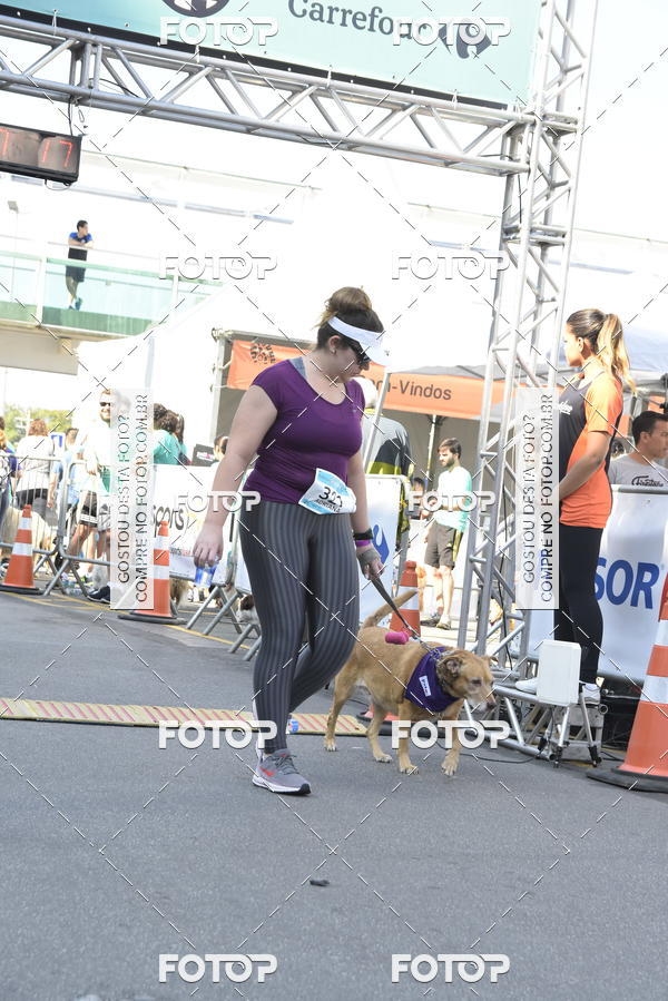 Buy your photos of the event2� Pet Run Shopping Eldorado  on Fotop