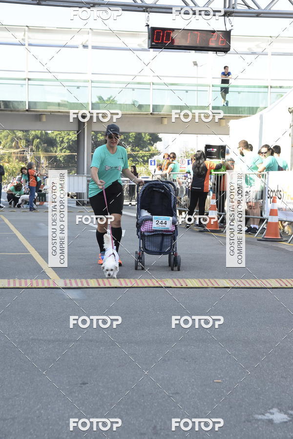 Buy your photos of the event2� Pet Run Shopping Eldorado  on Fotop