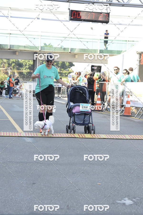Buy your photos of the event2� Pet Run Shopping Eldorado  on Fotop
