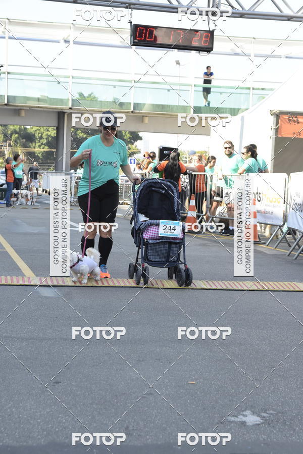 Buy your photos of the event2� Pet Run Shopping Eldorado  on Fotop