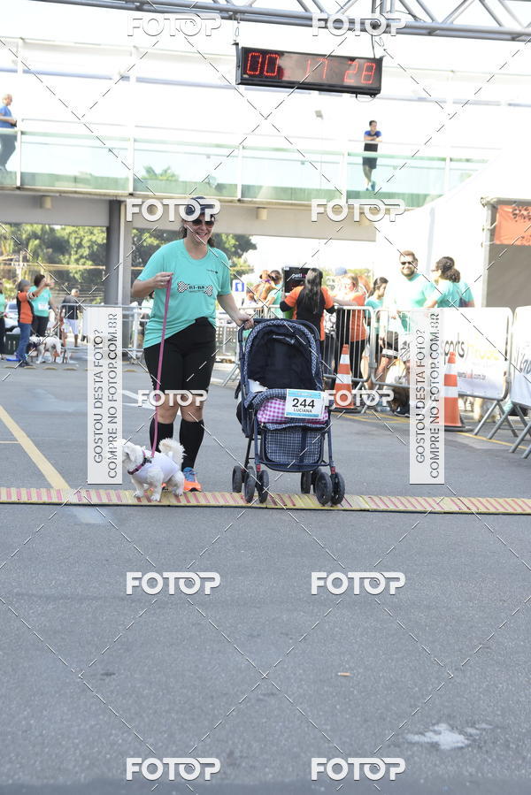 Buy your photos of the event2� Pet Run Shopping Eldorado  on Fotop