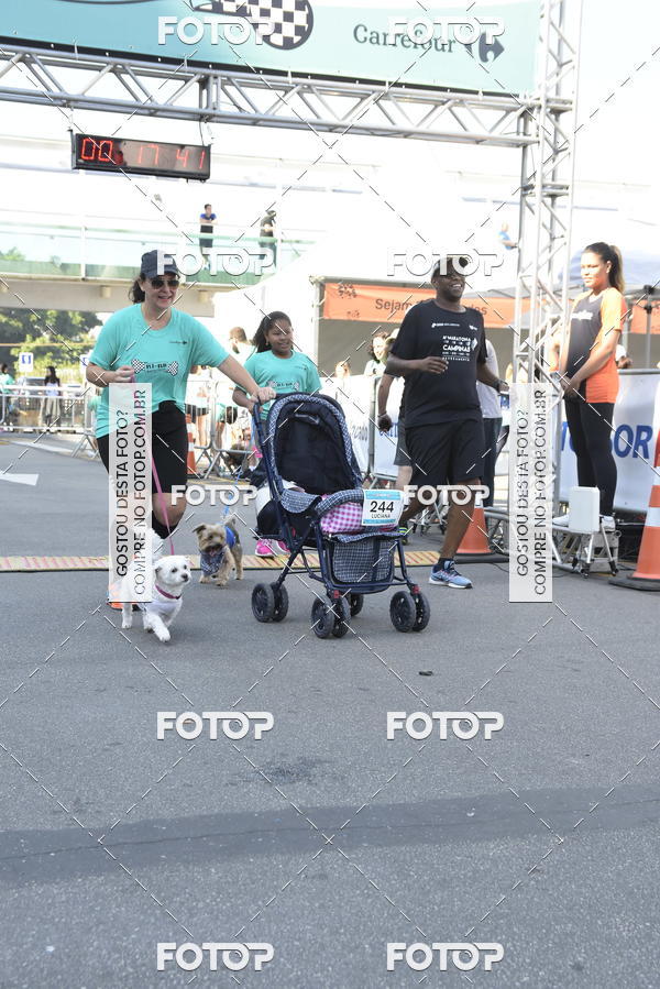 Buy your photos of the event2� Pet Run Shopping Eldorado  on Fotop