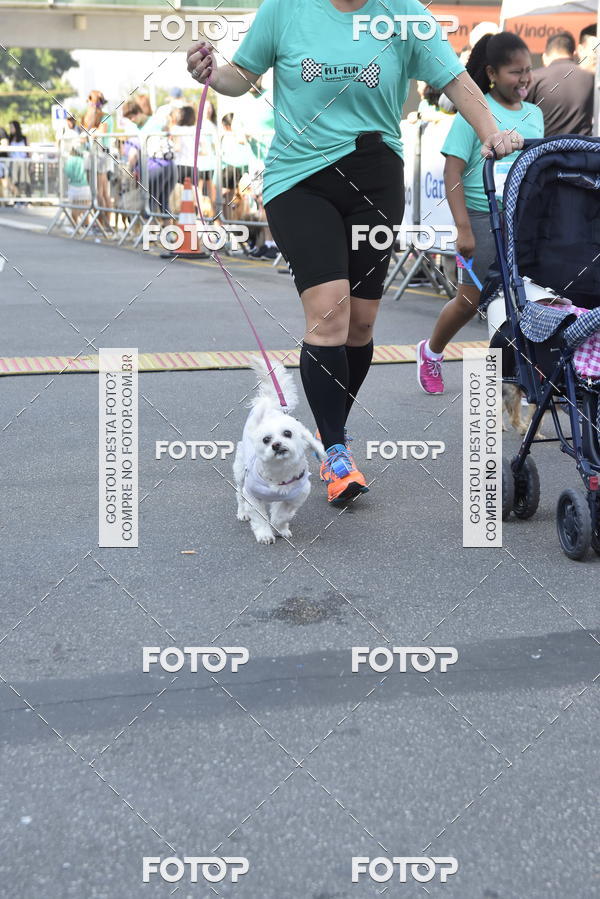 Buy your photos of the event2� Pet Run Shopping Eldorado  on Fotop