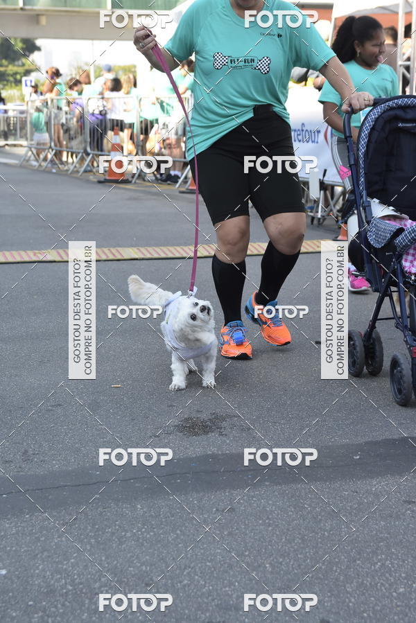 Buy your photos of the event2� Pet Run Shopping Eldorado  on Fotop