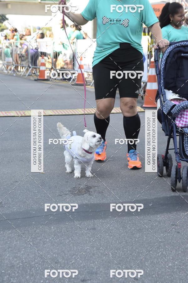 Buy your photos of the event2� Pet Run Shopping Eldorado  on Fotop