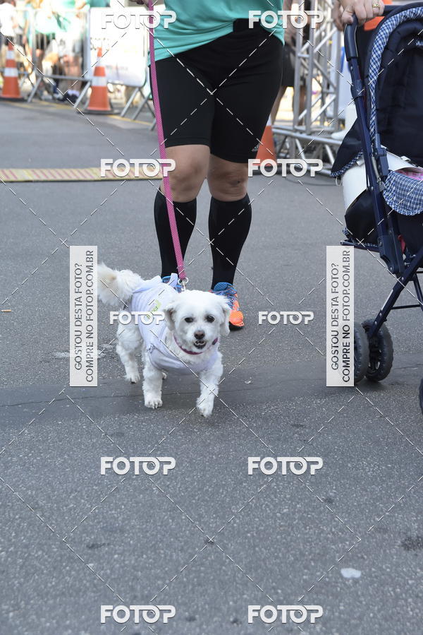 Buy your photos of the event2� Pet Run Shopping Eldorado  on Fotop