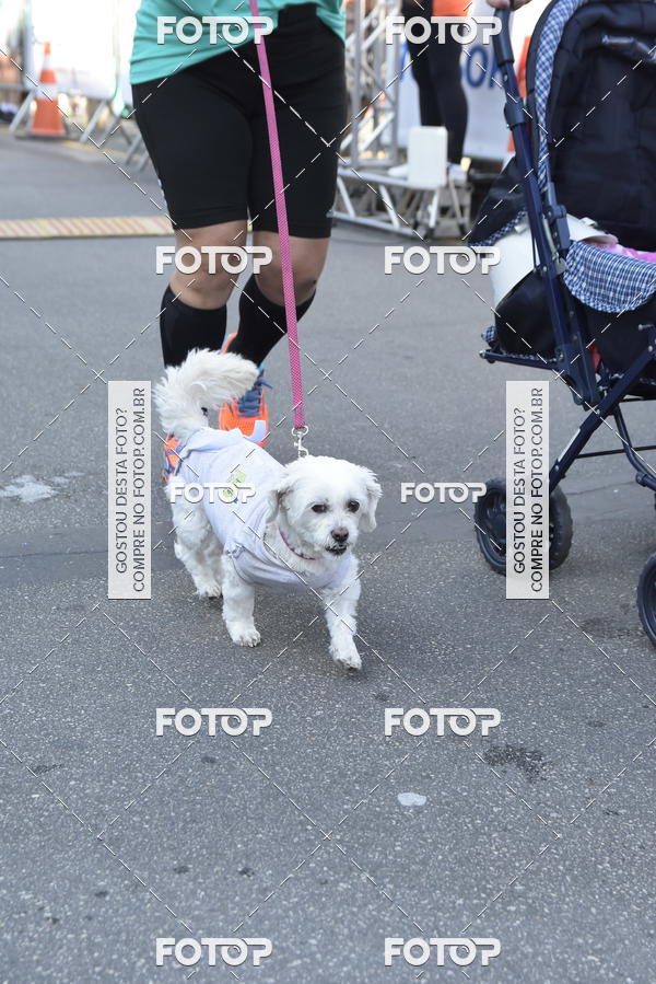 Buy your photos of the event2� Pet Run Shopping Eldorado  on Fotop