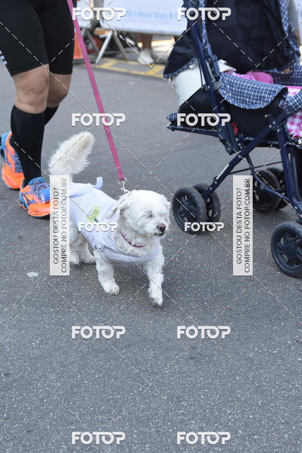 Buy your photos of the event2� Pet Run Shopping Eldorado  on Fotop