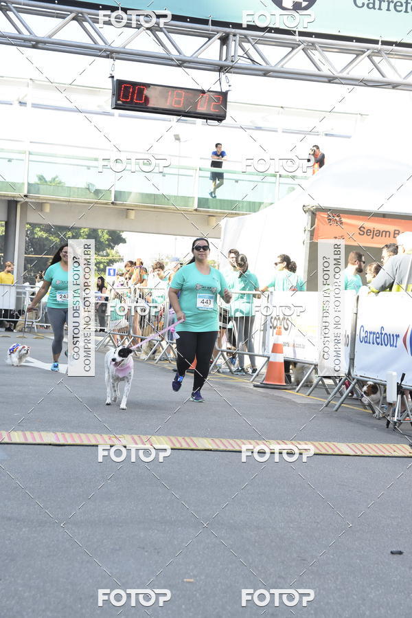 Buy your photos of the event2� Pet Run Shopping Eldorado  on Fotop