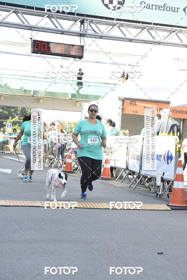 Buy your photos of the event2� Pet Run Shopping Eldorado  on Fotop