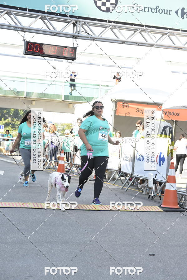 Buy your photos of the event2� Pet Run Shopping Eldorado  on Fotop
