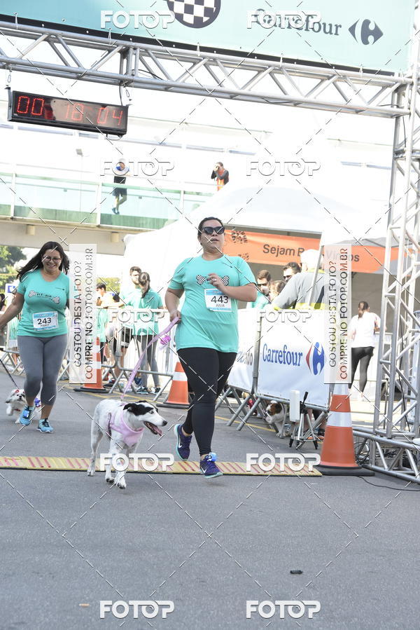Buy your photos of the event2� Pet Run Shopping Eldorado  on Fotop
