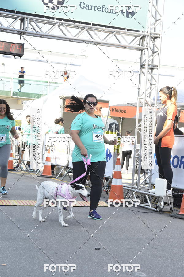 Buy your photos of the event2� Pet Run Shopping Eldorado  on Fotop