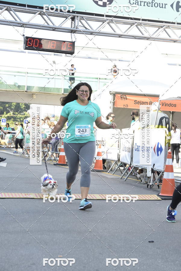 Buy your photos of the event2� Pet Run Shopping Eldorado  on Fotop