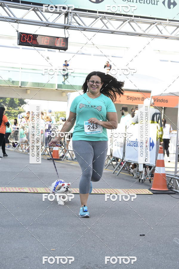 Buy your photos of the event2� Pet Run Shopping Eldorado  on Fotop