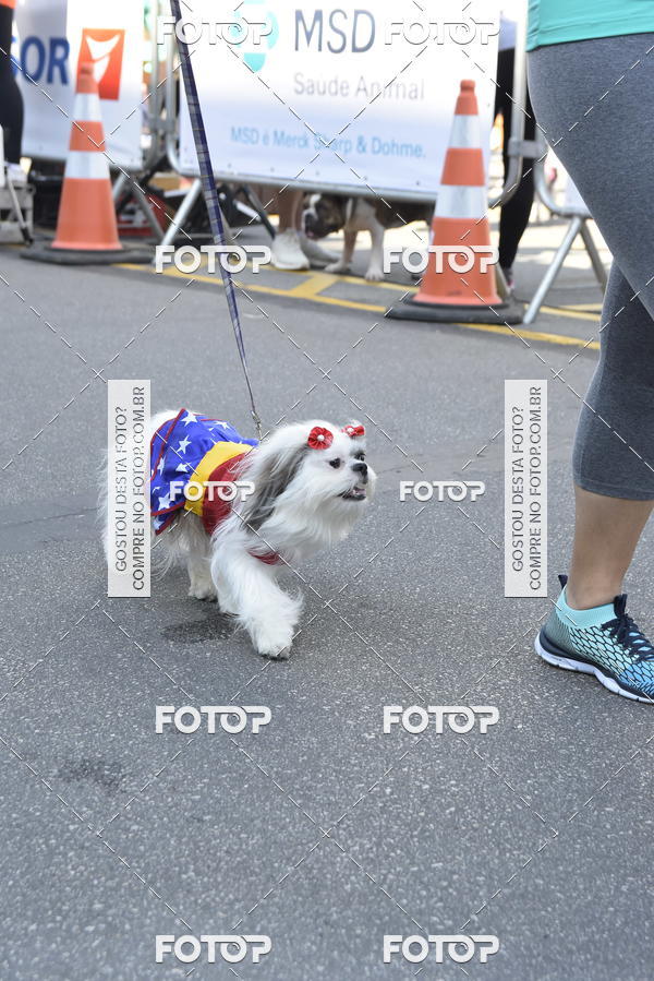 Buy your photos of the event2� Pet Run Shopping Eldorado  on Fotop